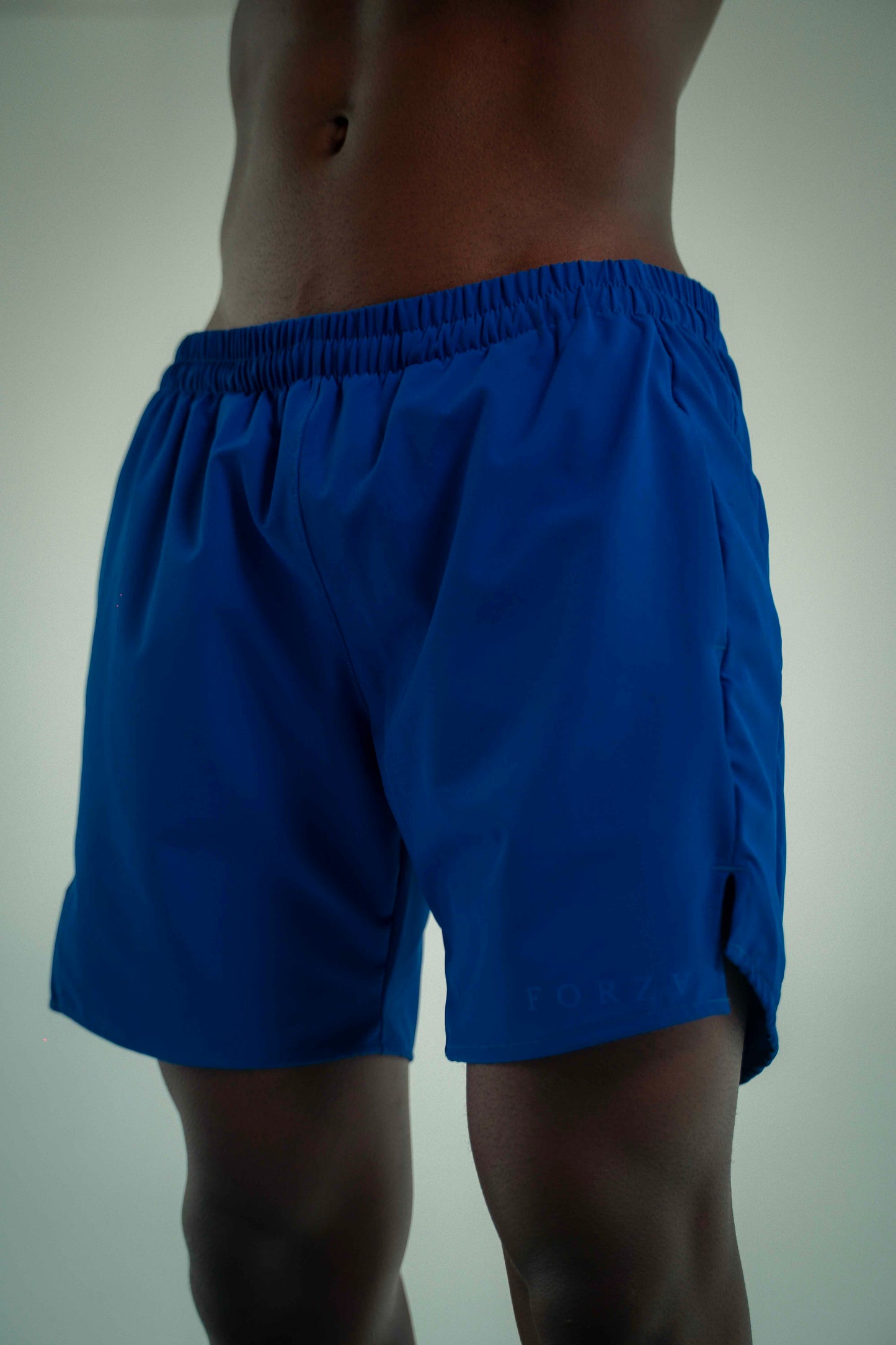 Basic Blue Short