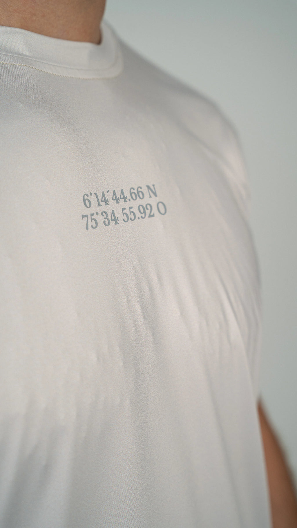 Grey Basic T-Shirt